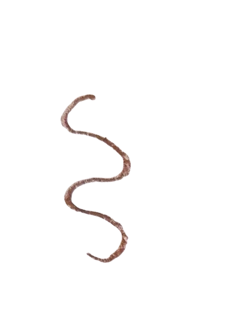 Caramel - Lip Liner